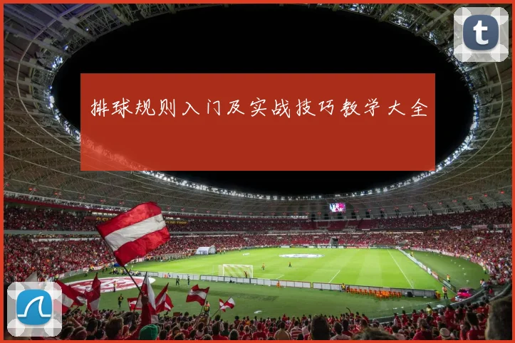 排球规则入门及实战技巧教学大全